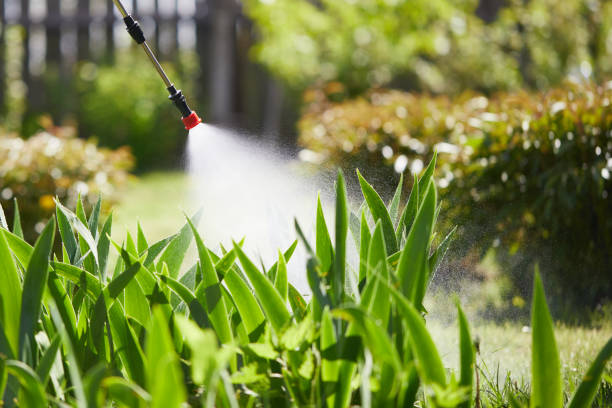 24/7 Emergency Mosquito Control experts in Meridian Hills, IN